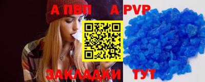 индика Лесосибирск
