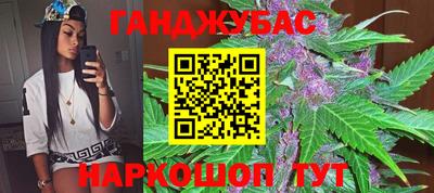 индика Лесосибирск