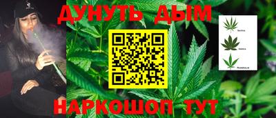 индика Лесосибирск
