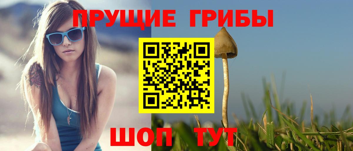 Псилоцибиновые грибы мицелий Ижевск